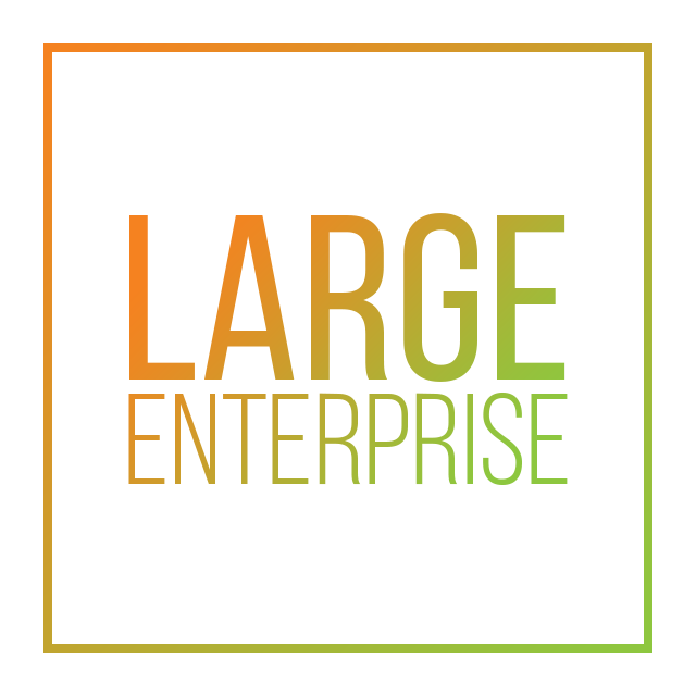 CDM For Large Enterprise Stage Companies